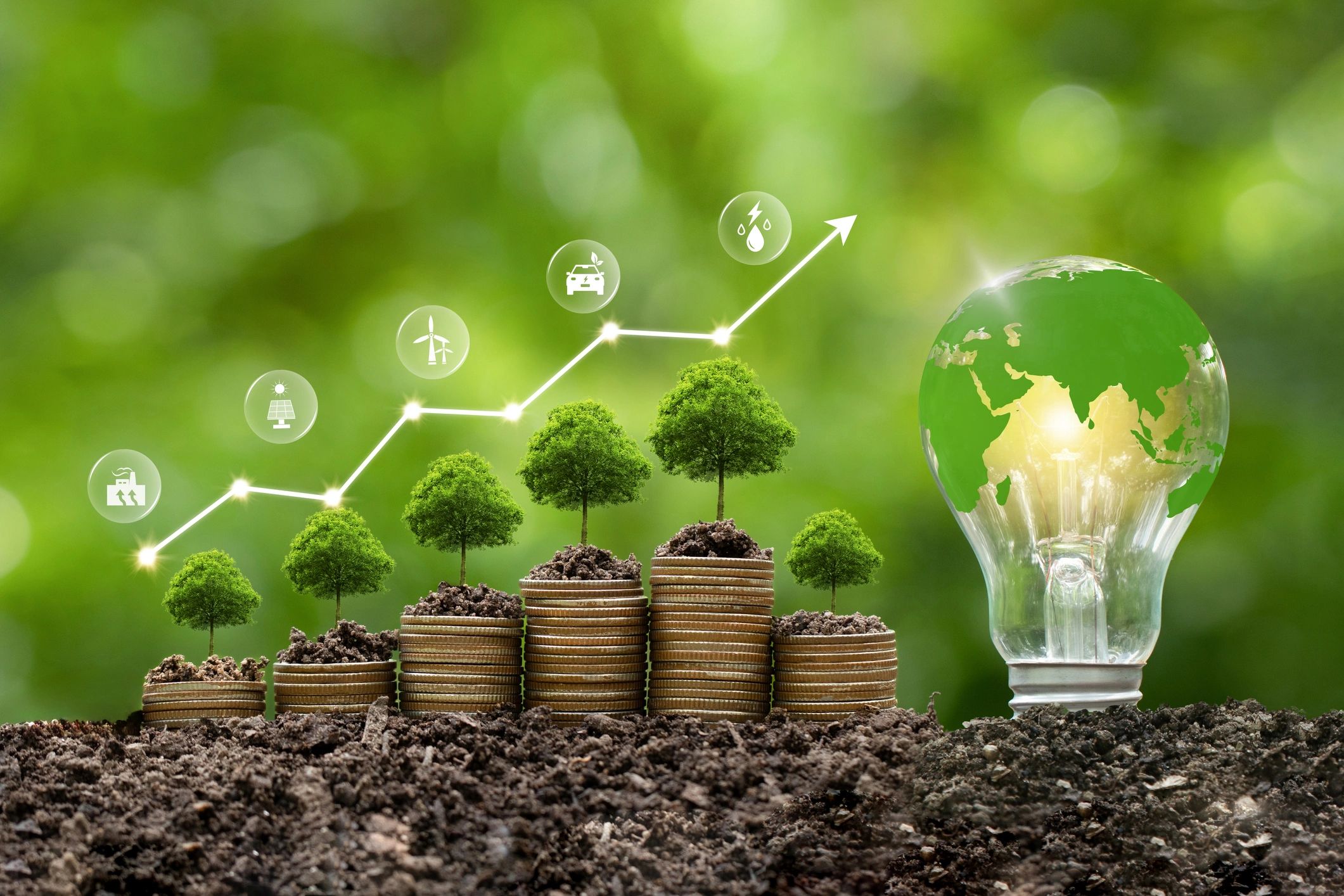 Reduce Your Carbon Footprint